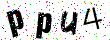 Enter the 4 characters <br>& press submit 